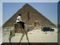 http://www.saqra.net/egypttrip/Egyptpics 105.jpg